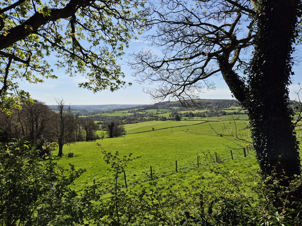 A countryside view from Painswick Rococo Garden
